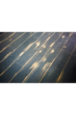 Schlossdiele Alpenholz – Retro Color