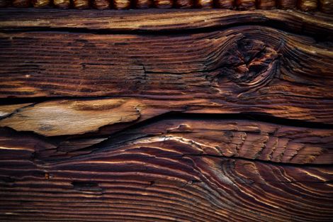 AdobeStock_142317779 | © RYSZARD ADAMIAK